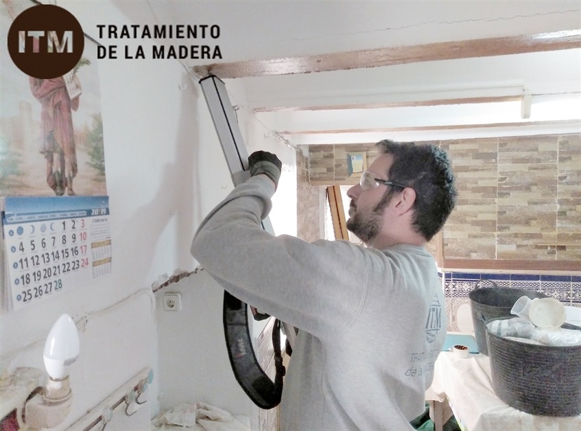 tratamiento de madera en Benaguacil